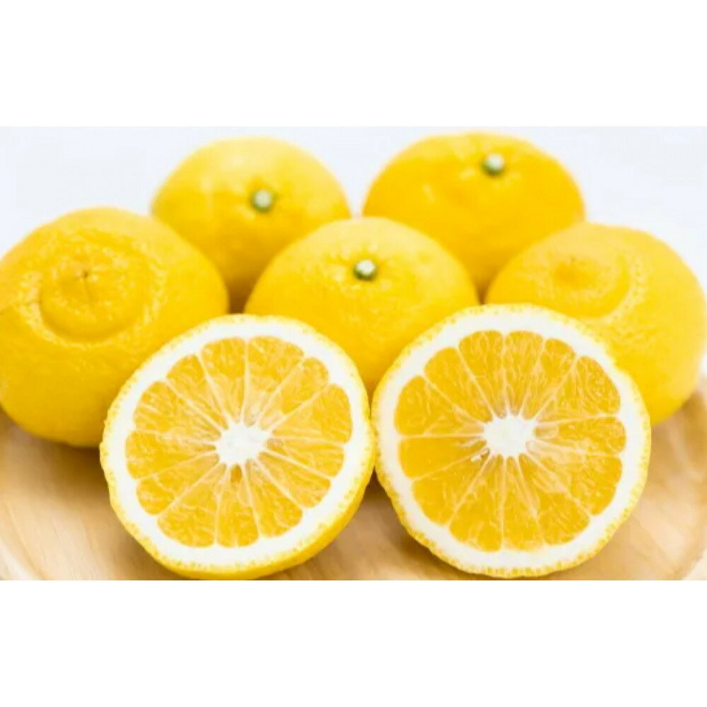 【ふるさと納税】【選べる容量】訳あり 森本農園の手選別 はるか 約6～10kg 和歌山県産 サイズ混合［北海道・沖縄・離島配送不可］ | みかん 蜜柑 フルーツ 果物 くだもの 食品 人気 おすすめ 送料無料