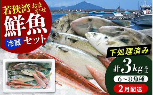 若狭湾鮮魚セット おまかせ 3kg以上（6～8魚種）【2月配送】