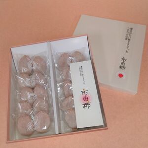 【市田柿専門店 金の柿】白箱「秀品」Lサイズ2個包装×10袋入り ＜2026年1月発送開始＞