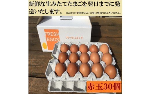 江原ファーム 体に優しい地養卵（３０個） ふるさと納税 たまご タマゴ 生みたて 新鮮_AG03