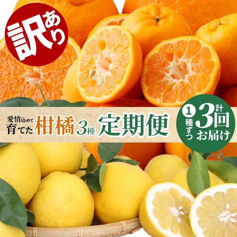S040-014A_【訳あり 定期便3回】天草 下浦地区の農家が愛情込めて育てた柑橘3種〈先行予約〉 / ポンカン 不知火 晩柑 柑橘 みかん フルーツ
