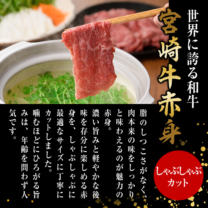 宮崎牛 赤身カット しゃぶしゃぶ (計1kg・500g×2) しゃぶしゃぶ お肉 牛肉 黒毛和牛 宮崎牛 ブランド和牛 冷凍 国産 モモ ウデ 宮崎県産【YM-26】【YAMATO株式会社】