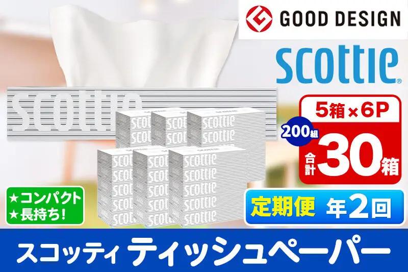 《6ヶ月ごとに2回お届け》定期便 ティッシュペーパー スコッティ 200組 30箱(5箱×6パック) ティッシュ 秋田市オリジナル