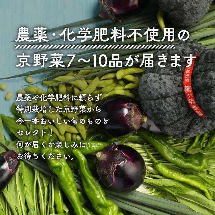 有機京野菜セットＳ 野菜 野菜 野菜 野菜 野菜