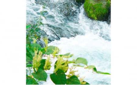 富山県産コシヒカリ 5kg×2袋(計10kg) 高岡市 米 精米