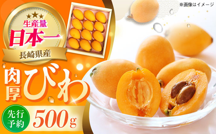 
                  【先行予約】 長崎 ハウスびわ 500g ＜4月お届け＞長崎県/長崎県農協直販 [42ZZAA027] ビワ 枇杷 果物 フルーツ びわ 長崎 特産 数量限定
                