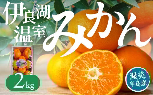 【先行予約】伊良湖 温室みかん 2kg みかん 温室みかん 蜜柑 フルーツ 果物 愛知県 田原市 渥美半島 お取り寄せ