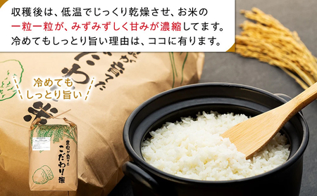 AB1-005 特別栽培米　コシヒカリ（白米）9kg