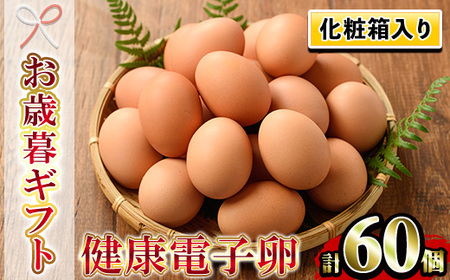 【令和6年お歳暮対応】 化粧箱 入り！健康電子卵 赤卵 Lサイズ 60個（10個×6パック）（うち、割れ保証分10個）国産 鹿児島県産 鶏卵 1パック10個入りで使い勝手がいい！【SA-229H】