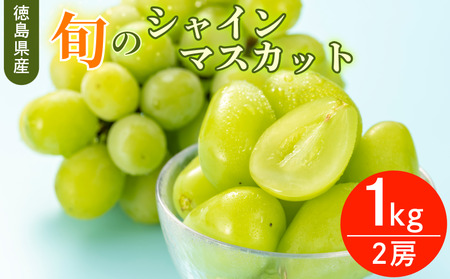 【6月中旬～8月中旬まで順次発送】シャインマスカット 1kg 2房 国産