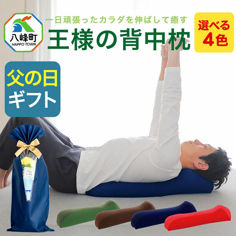 【ふるさと納税】【父の日仕様】で年中発送 【王様の背中枕】【選べるカラー】 ラッピング 贈答用 プレゼント 贈り物 父の日ギフト メンズ 敬老の日 ありがとう 感謝 [背中枕 背中用 クッション お昼寝 足枕 ストレッチ枕 まくら 超極小ビーズ わた]