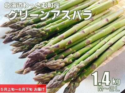 【ふるさと納税】（令和８年度産）北海道グリーンアスパラ1.4kg／和寒町産