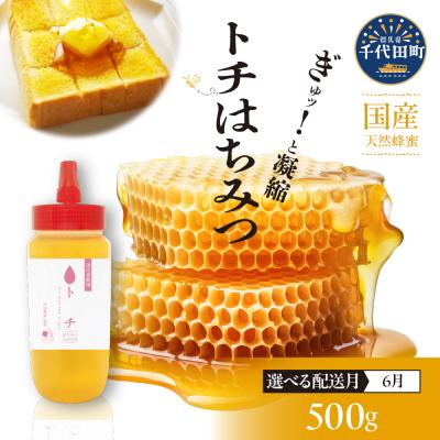 ふるさと納税 千代田町 【6月発送】はちみつ【千代田町の蜂蜜】500g「とち」はちみつ ch011-006-6r