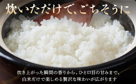 令和7年産 米 お米 コシヒカリ うまかん米 5kg JAおやま《30日以内に出荷予定(土日祝除く)》 栃木県 野木町産 コメ 米 ブランド米 こしひかり【栃木県共通返礼品】