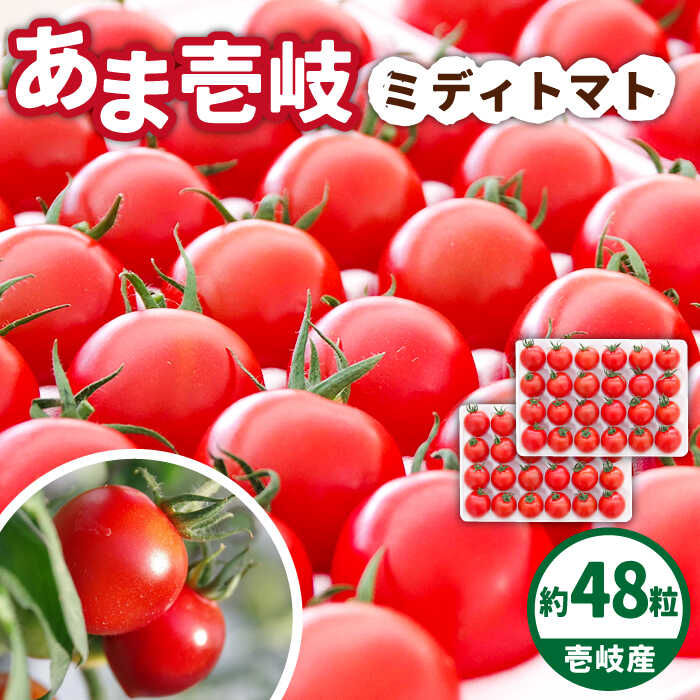 【ふるさと納税】【先行予約】あま壱岐 ミディトマト 約48粒 【2025年12月以降順次発送】《壱岐市》【壱岐の潮風】 [JAE009] トマト ミディトマト 野菜 ギフト プレゼント 贈り物 15000 15000円
