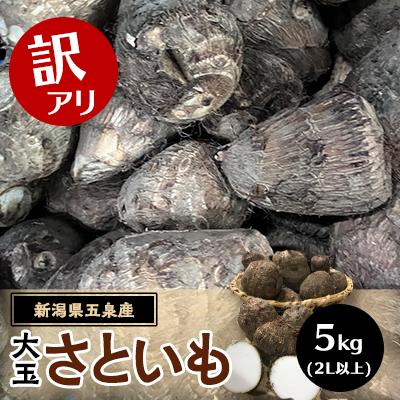 ふるさと納税 五泉市 【訳アリ】五泉産　大玉さといも 5kg(2L以上)