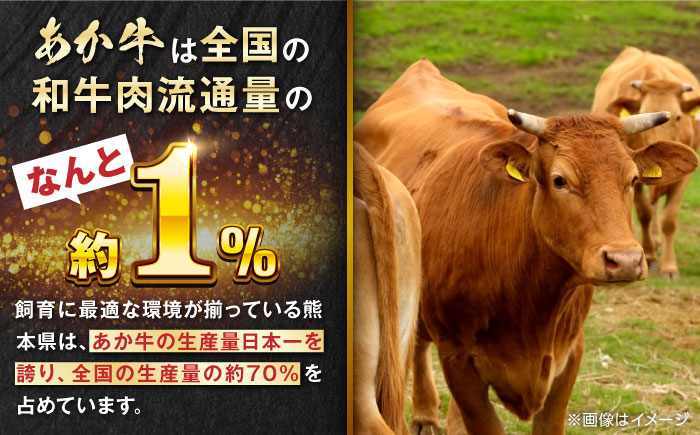 熊本県産 あか牛 ぎょうざ 20個×3箱 熊本 赤牛 褐牛 あかうし 褐毛和種 肥後 冷凍 国産 牛肉【有限会社 三協畜産】[YCG043]