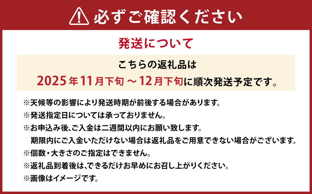 みかん （日の丸ゴールド） L～Sサイズ （約5kg）  （519） 【2025年11月下旬～2025年12月下旬発送予定】
