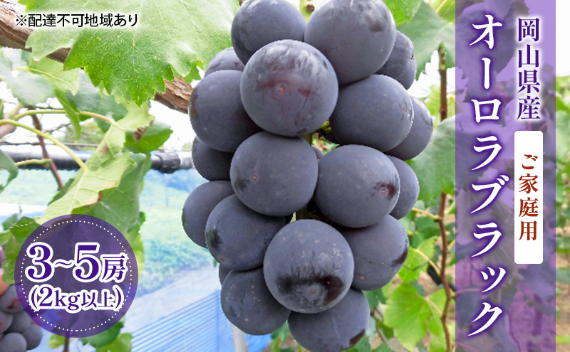【2025年先行予約】【ご家庭用】ぶどう 岡山県産 オーロラブラック （ 種無し ） 2kg以上（3～5房） 《2025年9月上旬-中旬頃出荷》 葡萄 ブドウ フルーツ 数量限定 岡山 里庄町