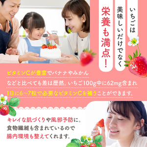 【定期便2回】 旬のいちご 約1000g
