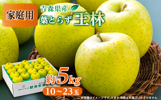 青森県産りんご「葉取らず王林」約5kg(家庭用)【配送不可地域：離島・沖縄県】