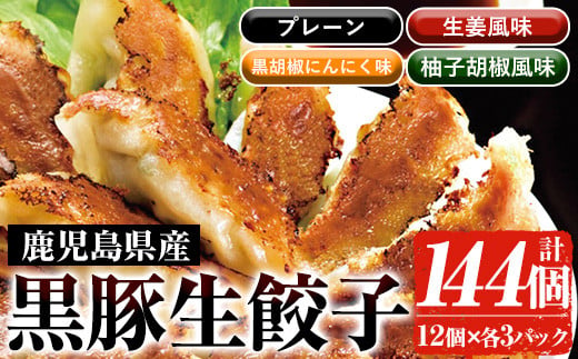 鹿児島黒豚生餃子4種食べ比べセット(計144個・12個×各3P) 国産 九州産 鹿児島県産 黒豚 餃子 ギョウザ おかず 惣菜 弁当 焼くだけ 小分け 簡単 時短 詰合せ 詰め合わせ 冷凍 冷凍食品【鹿児島協同食品】【A-1872H】
