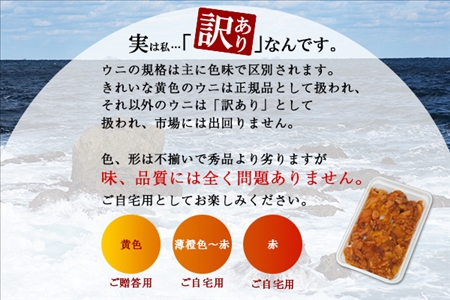訳あり うに 冷凍 200g チリ産ウニ 雲丹 北海道 1259