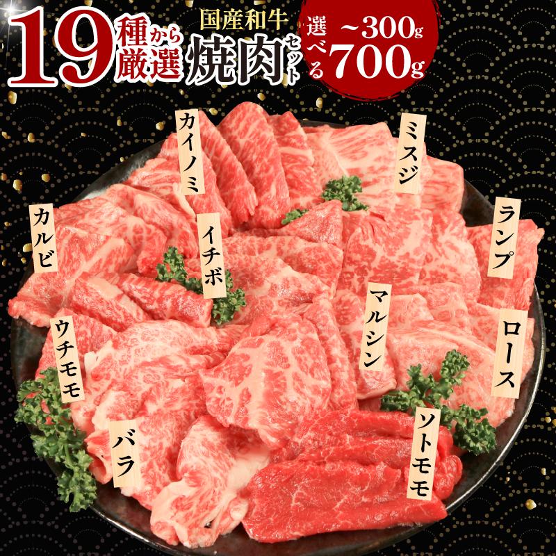 
            焼肉セット 希少部位 食べ比べ おまかせ 3種・5種・7種 牛肉 国産和牛 焼肉用 高級牛肉 霜降り 赤身 カルビ ロース マルシン カイノミ イチボ ミスジ ほか 冷凍 厳選肉 BBQ 贈答 プレゼント 徳島県 吉野川市 戸井ミート
          