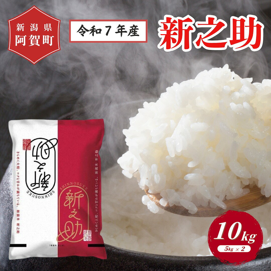 【ふるさと納税】 米 10kg 新潟県産 「津川産 新之助」 令和7年産 5kg × 2袋 | 白米 精米 しんのすけ 送料無料 お取り寄せ お米