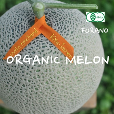 
            オーガニックメロン 1玉入り箱 2.1kg以上 赤肉メロン＜2026年7月上旬より順次発送＞【1445851】
          