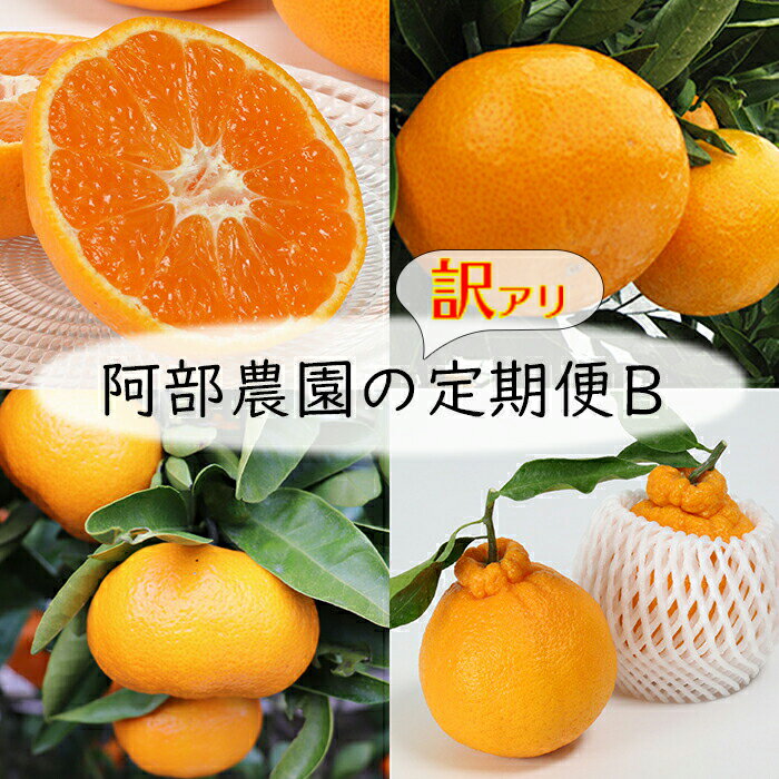 【ふるさと納税】阿部農園の訳あり定期便B　田口早生・石地・青島・不知火（11月・12月・1月・2月） ／ ミカン みかん 蜜柑 柑橘類 定期便 訳あり 先行予約 温州みかん 11月 12月 1月 2月 ＜112-802＞