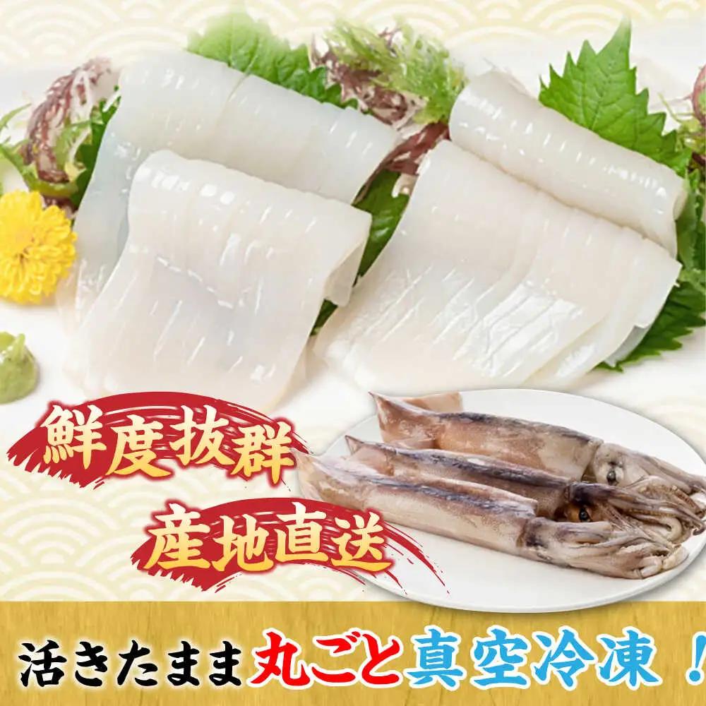 【全6回定期便】旬のイカ刺身1kg前後《壱岐市》【馬渡水産】イカ いか 烏賊 剣先 アオリ あおり スルメ するめ 刺身 刺し身 お刺身 海鮮 魚貝 冷凍配送 産地直送[JAQ032]