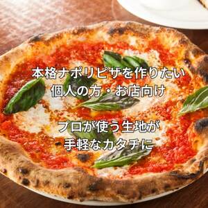 ナポリのピザ生地 170g(約20cm分)10個【配送不可地域：離島】【1565957】