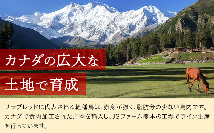 馬刺し 3種 食べ比べ セット 計150g 3人前 熊本直送 赤身 霜降り フタエゴ 株式会社Foody’s《30日以内に出荷予定(土日祝除く)》熊本県 菊池市 馬刺し 馬肉 肉 お肉---159-4