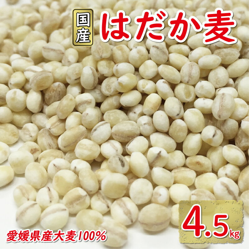 【ふるさと納税】 はだか麦 4.5kg 900g 小分け 5袋 10000円 国産 大麦 麦 麦ごはん むぎごはん 水溶性 食物繊維 腸内環境 ダイエット 健康 マルヤス味噌 愛南町 愛媛県