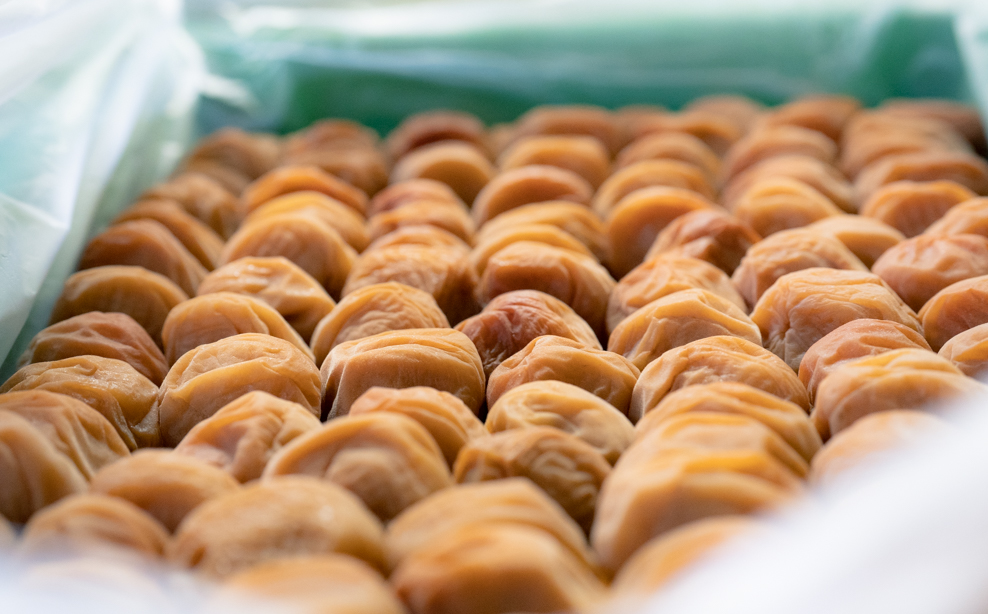 百福梅　個包装十二福　木箱入り有田みかん蜂蜜梅12個入（300ｇ）E003_イメージ4