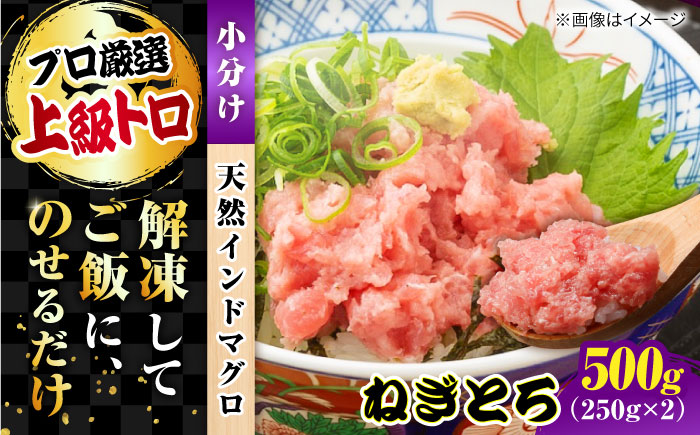天然 まぐろ ねぎとろ 約500g（約250g×2パック）【横須賀商工会議所 おもてなしギフト事務局（本まぐろ直売所 横須賀本店）】 [AKAK121]