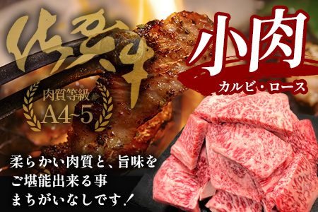 佐賀牛小肉500g（カルビ、ロース）B-840