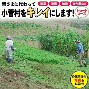 ふるさと小菅をきれいに！除草、清掃等サービス（ショートコース）