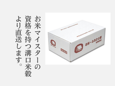 米 こしひかり5kg×2 計10キロ 鳥取県江府町産 こめ 精米 コシヒカリ 令和7年産 R7 送料無料 0909