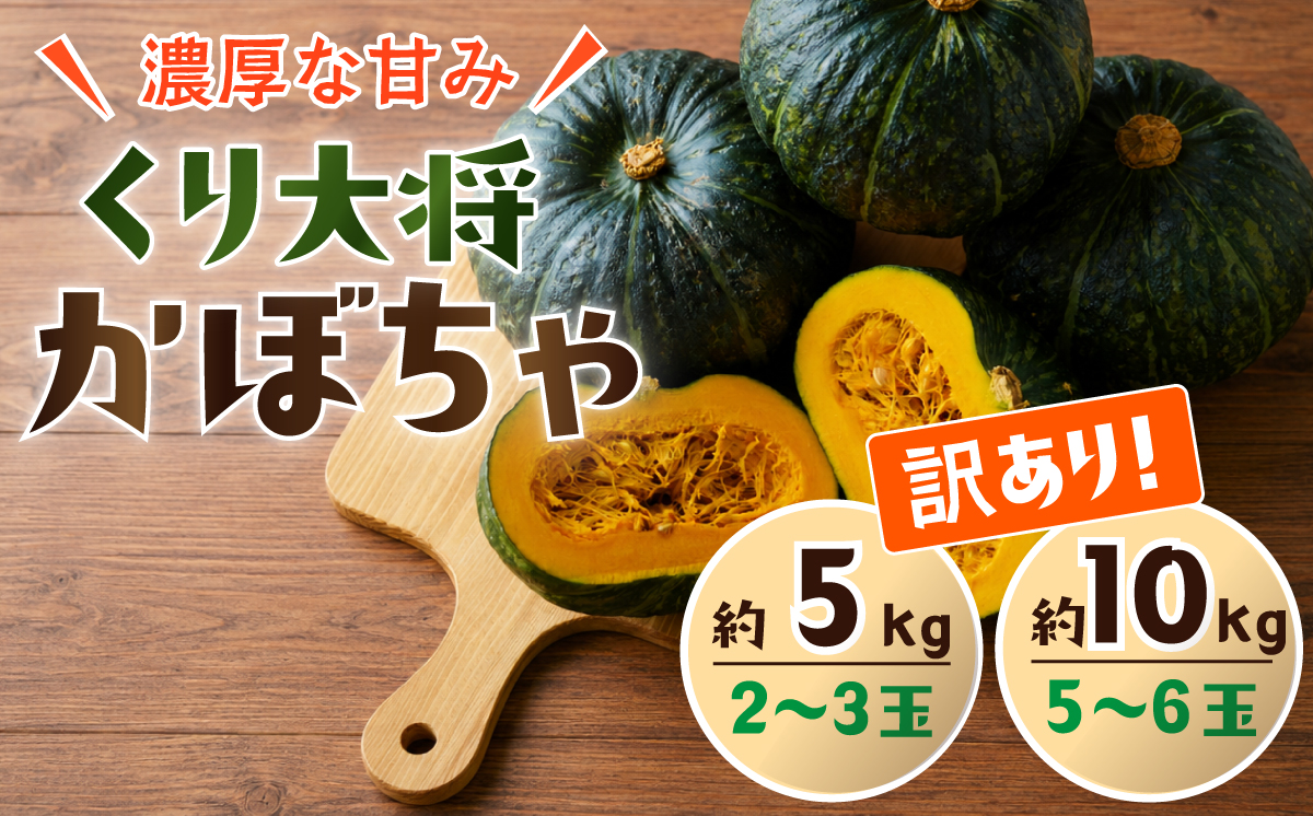 【訳あり】かぼちゃ くり大将 《容量が選べる！》訳あり 茨城県産 くり大将 約5kg (2玉から3玉) / 約10kg (5玉から6玉) 【茨城県 下妻市産 かぼちゃ カボチャ 南瓜 くり大将 くりた