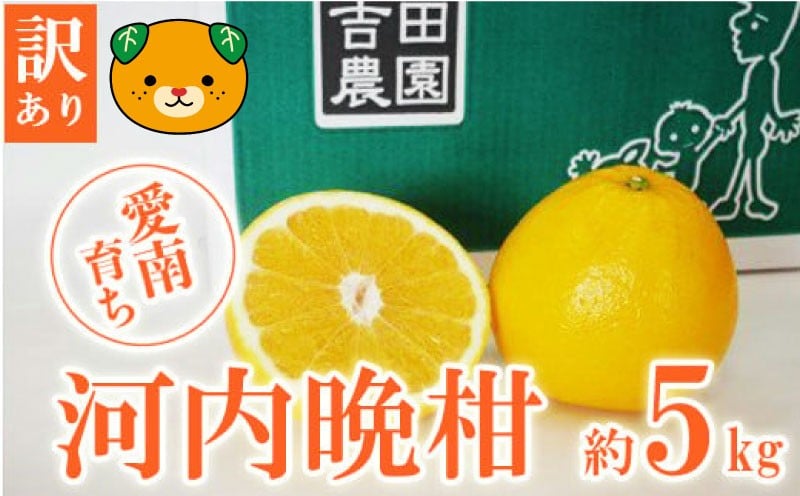 
                  【順次発送】 訳あり 河内晩柑 5kg 7000円 みかん わけあり かわちばんかん 愛南ゴールド あいなん ゴールド 夏 文旦 和製 グレープフルーツ 家庭用 産地直送 国産 農家直送 期間限定 数量限定 ビタミン 健康 おいしい 特産品 ゼリー ジュース アイス 等に 人気 限定 さわやか 甘い フルーツ 果物 柑橘 mikan 蜜柑 ミカン 規格外 吉田農園 愛南町 愛媛県
                