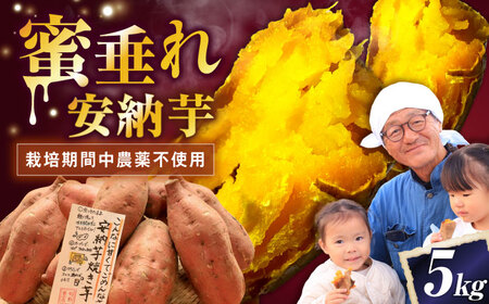 さつまいも【厳選】熟成安納芋 5kg[AQCF007]サツマイモ