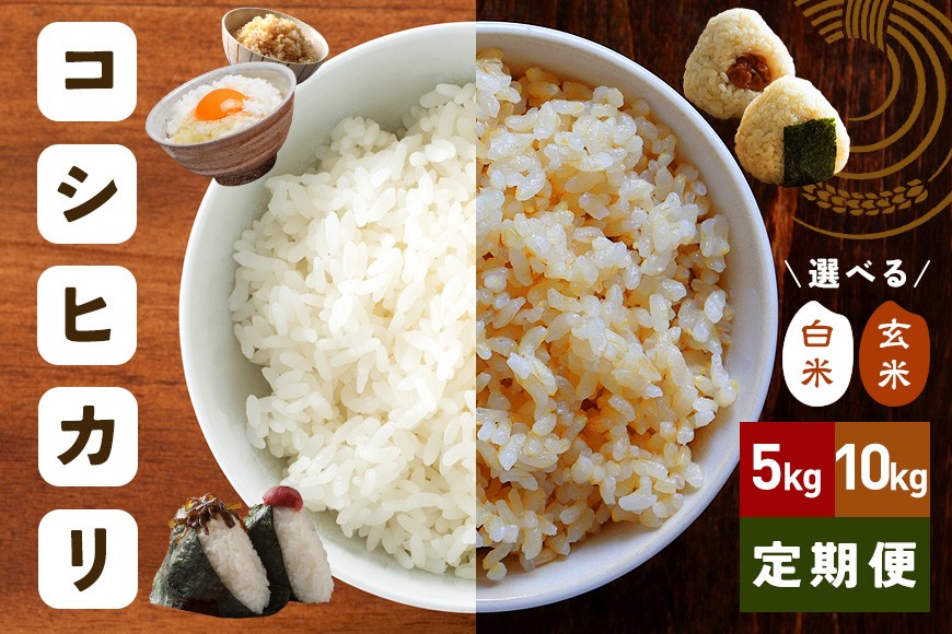 
                  令和7年度 笠間産 コシヒカリ 選べる 精米 玄米 5kg 10kg 15kg 30kg 60kg 3ヶ月 6ケ月 定期便 米 白米 げんまい こめ コメ ご飯 ごはん 農家直送 産地直送 国産 茨城県 笠間市 青木商店
                