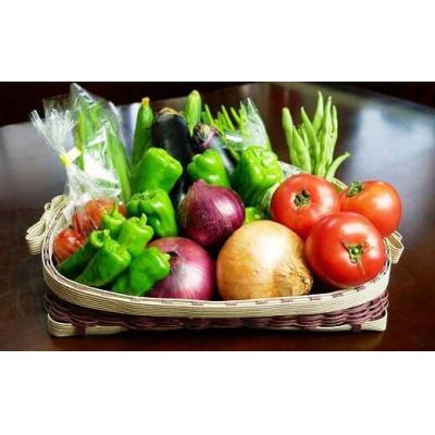 ふるさと納税 池田市 岩崎正光園 季節の野菜詰め合わせ(冬)