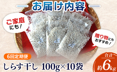 ＜漁師さん自慢のしらす干し 合計1kg 6回定期便＞ 定期便 シラス 魚介類 さかな 海産物 海鮮 海の幸 小分け 国産 ご飯のお供 丼 晩酌 おかず 特産品 濱田水産 愛媛県 西予市 【冷凍】『お申