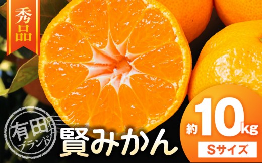 
                   【秀品】 有田ブランド 賢みかん 約10kg（Sサイズ） 【ミカン 蜜柑 柑橘 温州みかん 有田みかん】_ZD6162 
                