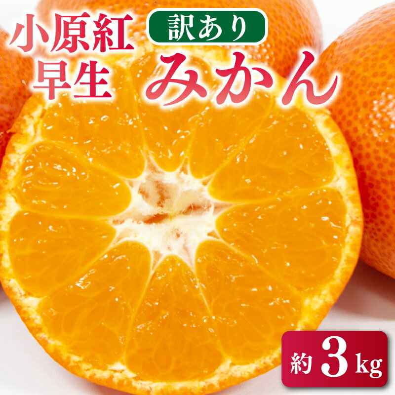 【ふるさと納税】 訳あり 不揃い みかん 蜜柑 小原紅早生 3kg 柑橘 フルーツ ジャム ゼリー ジュース スムージー 露地栽培