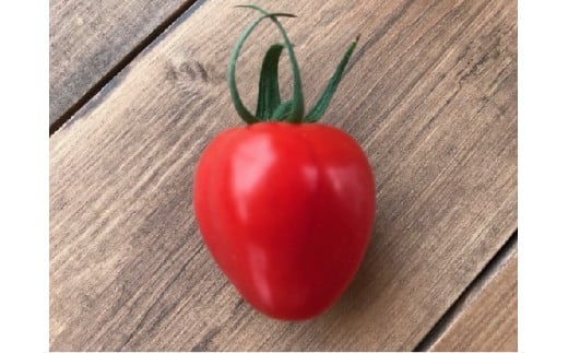 【2026年度予約分】増量約2kg！甘さ抜群!!トマト嫌いでも食べられるトマトベリー 4月～6月発送 野菜ソムリエサミット 金賞 受賞 長田農園 産地直送 トマト とまと 野菜 やさい フルーツ サラ