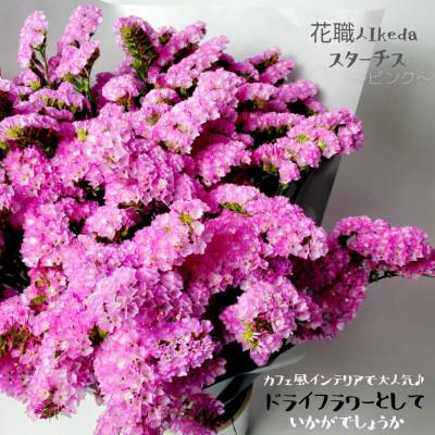 ふるさと納税 印南町 生花【スターチス】花職人Ikeda 　　　　ピンク